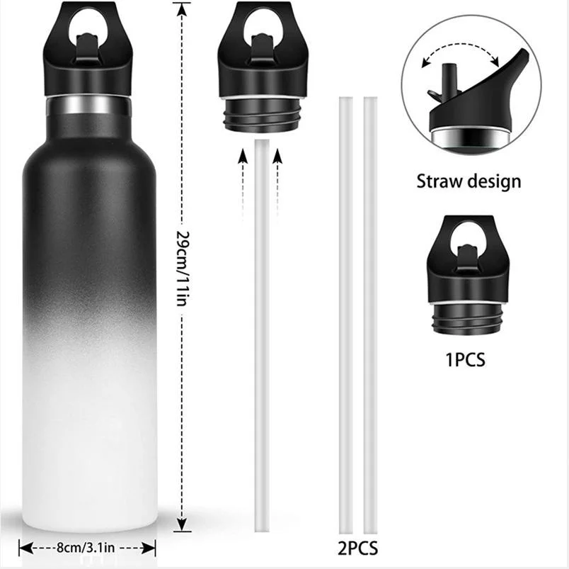 Double Wall Stainless Steel Sporty Water Bottle