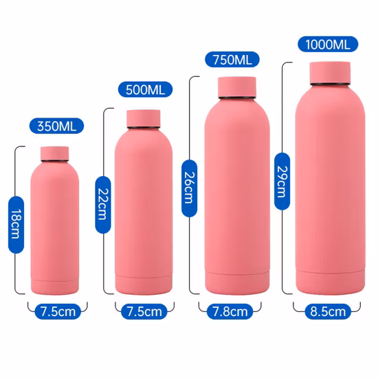 Botella de agua de acero inoxidable con aspiradora de doble pared